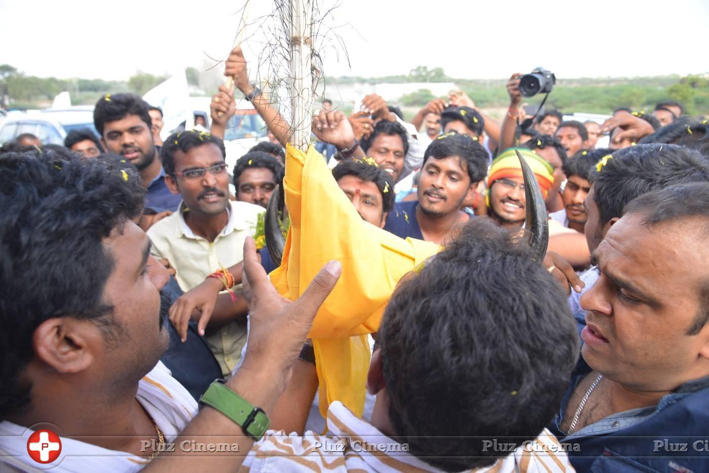 Dictator Audio Launch Rally Hyderabad to Amaravathi Photos | Picture 1181853