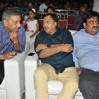 Nenu Sailaja Movie Audio Launch Stills | Picture 1184123