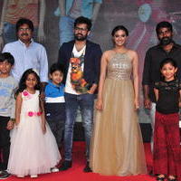 Nenu Sailaja Movie Audio Launch Stills | Picture 1184244