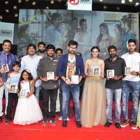 Nenu Sailaja Movie Audio Launch Stills | Picture 1184270