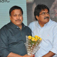 Nenu Sailaja Movie Audio Launch Stills | Picture 1184278