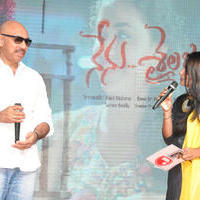 Nenu Sailaja Movie Audio Launch Stills | Picture 1184366