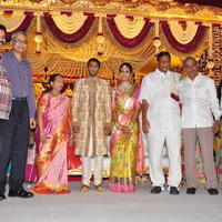 Celebs at Adiseshagiri Rao Son Sai Raghava Ratna Babu Wedding Reception Photos | Picture 1186748