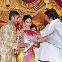 Celebs at Adiseshagiri Rao Son Sai Raghava Ratna Babu Wedding Reception Photos | Picture 1186749
