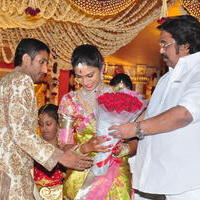 Celebs at Adiseshagiri Rao Son Sai Raghava Ratna Babu Wedding Reception Photos | Picture 1186751