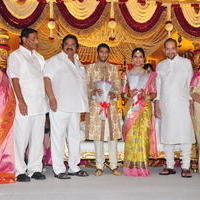 Celebs at Adiseshagiri Rao Son Sai Raghava Ratna Babu Wedding Reception Photos | Picture 1186756