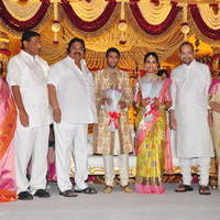 Celebs at Adiseshagiri Rao Son Sai Raghava Ratna Babu Wedding Reception Photos | Picture 1186757