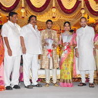 Celebs at Adiseshagiri Rao Son Sai Raghava Ratna Babu Wedding Reception Photos | Picture 1186759
