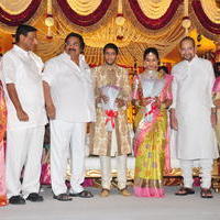 Celebs at Adiseshagiri Rao Son Sai Raghava Ratna Babu Wedding Reception Photos | Picture 1186760