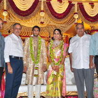 Celebs at Adiseshagiri Rao Son Sai Raghava Ratna Babu Wedding Reception Photos | Picture 1186772