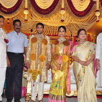Celebs at Adiseshagiri Rao Son Sai Raghava Ratna Babu Wedding Reception Photos | Picture 1187146