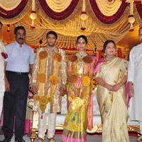 Celebs at Adiseshagiri Rao Son Sai Raghava Ratna Babu Wedding Reception Photos | Picture 1187147