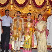 Celebs at Adiseshagiri Rao Son Sai Raghava Ratna Babu Wedding Reception Photos | Picture 1187149