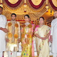 Celebs at Adiseshagiri Rao Son Sai Raghava Ratna Babu Wedding Reception Photos | Picture 1187151
