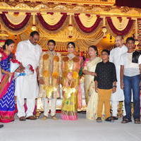 Celebs at Adiseshagiri Rao Son Sai Raghava Ratna Babu Wedding Reception Photos | Picture 1187152