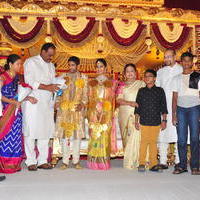 Celebs at Adiseshagiri Rao Son Sai Raghava Ratna Babu Wedding Reception Photos | Picture 1187153