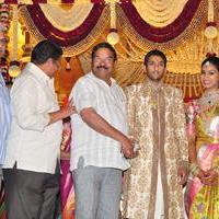 Celebs at Adiseshagiri Rao Son Sai Raghava Ratna Babu Wedding Reception Photos | Picture 1187161
