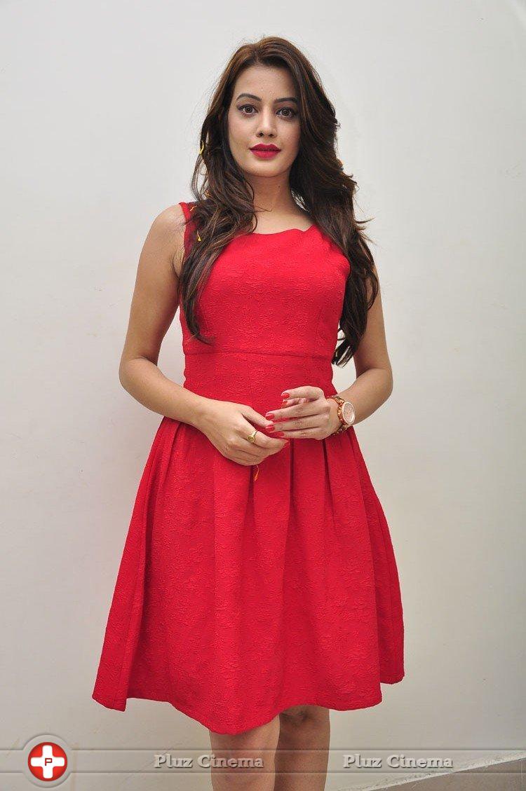 Diksha Panth New Gallery | Picture 1188026