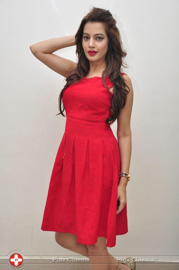 Diksha Panth New Gallery | Picture 1188028