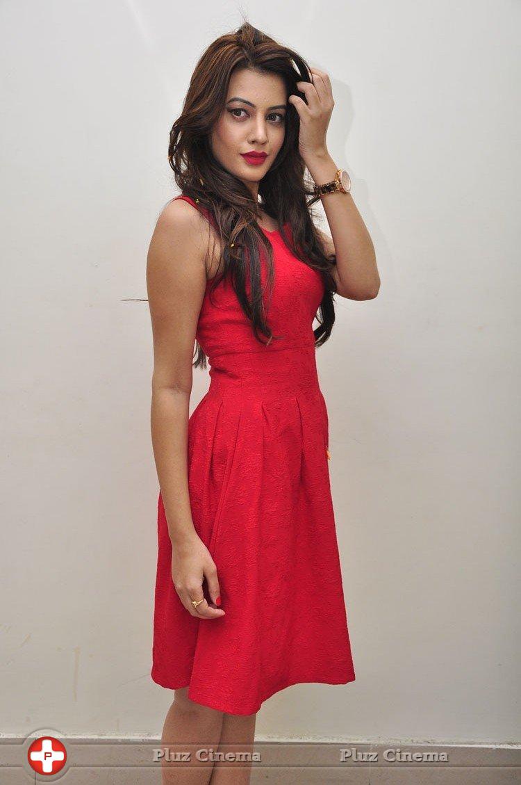 Diksha Panth New Gallery | Picture 1188038