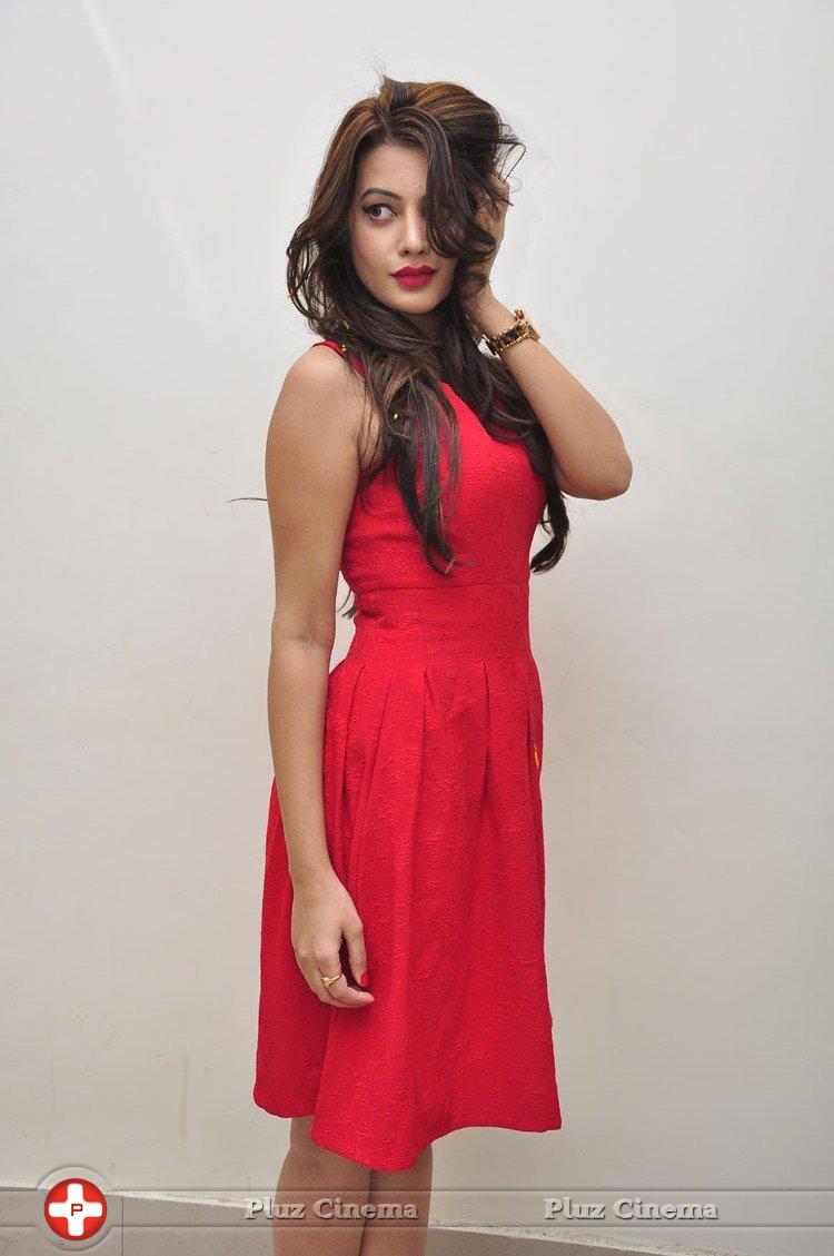 Diksha Panth New Gallery | Picture 1188040