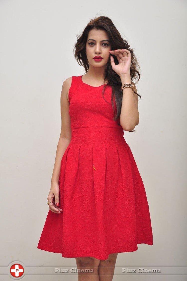 Diksha Panth New Gallery | Picture 1188050