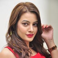 Diksha Panth New Gallery | Picture 1188022