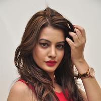 Diksha Panth New Gallery | Picture 1188024