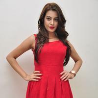 Diksha Panth New Gallery | Picture 1188025
