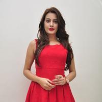 Diksha Panth New Gallery | Picture 1188026