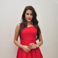 Diksha Panth New Gallery | Picture 1188027