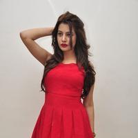 Diksha Panth New Gallery | Picture 1188029