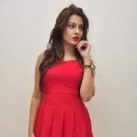 Diksha Panth New Gallery | Picture 1188033