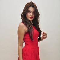 Diksha Panth New Gallery | Picture 1188034