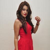 Diksha Panth New Gallery | Picture 1188035