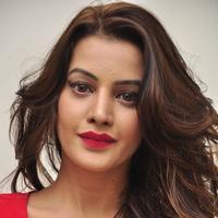 Diksha Panth New Gallery | Picture 1188036