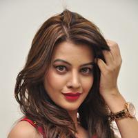 Diksha Panth New Gallery | Picture 1188037