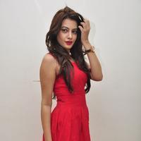 Diksha Panth New Gallery | Picture 1188038
