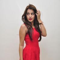 Diksha Panth New Gallery | Picture 1188039