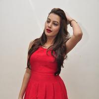 Diksha Panth New Gallery | Picture 1188042