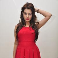 Diksha Panth New Gallery | Picture 1188043