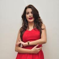 Diksha Panth New Gallery | Picture 1188044