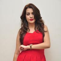 Diksha Panth New Gallery | Picture 1188045