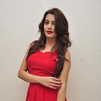 Diksha Panth New Gallery | Picture 1188046