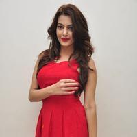 Diksha Panth New Gallery | Picture 1188047