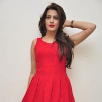 Diksha Panth New Gallery | Picture 1188048
