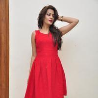 Diksha Panth New Gallery | Picture 1188053