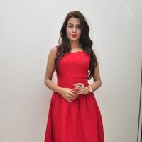 Diksha Panth New Gallery | Picture 1188054
