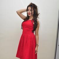 Diksha Panth New Gallery | Picture 1188055