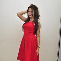 Diksha Panth New Gallery | Picture 1188056
